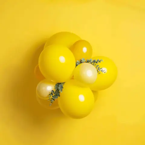 The Balloonary: greenery