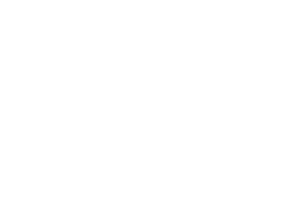 Little Viking logo